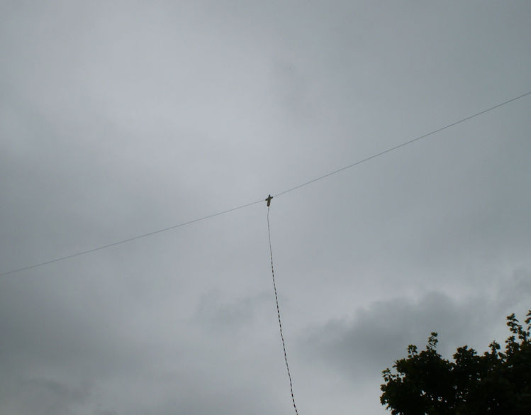Doublet antenna (20m per leg)
