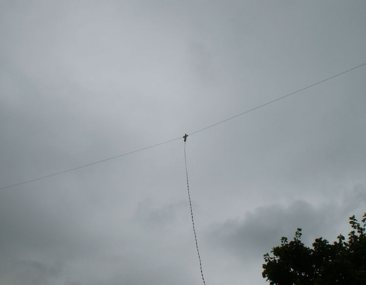 Doublet antenna (20m per leg)

