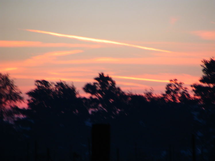 Sunrise over our contest site
