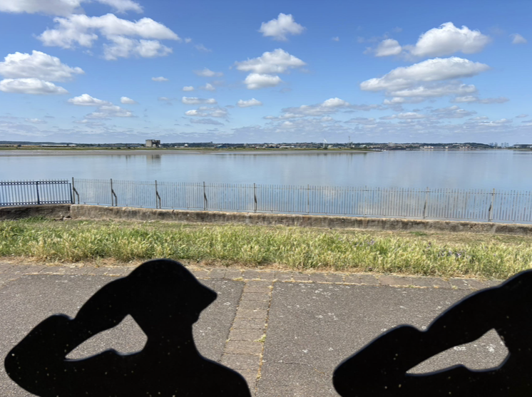 View Of River Thames
